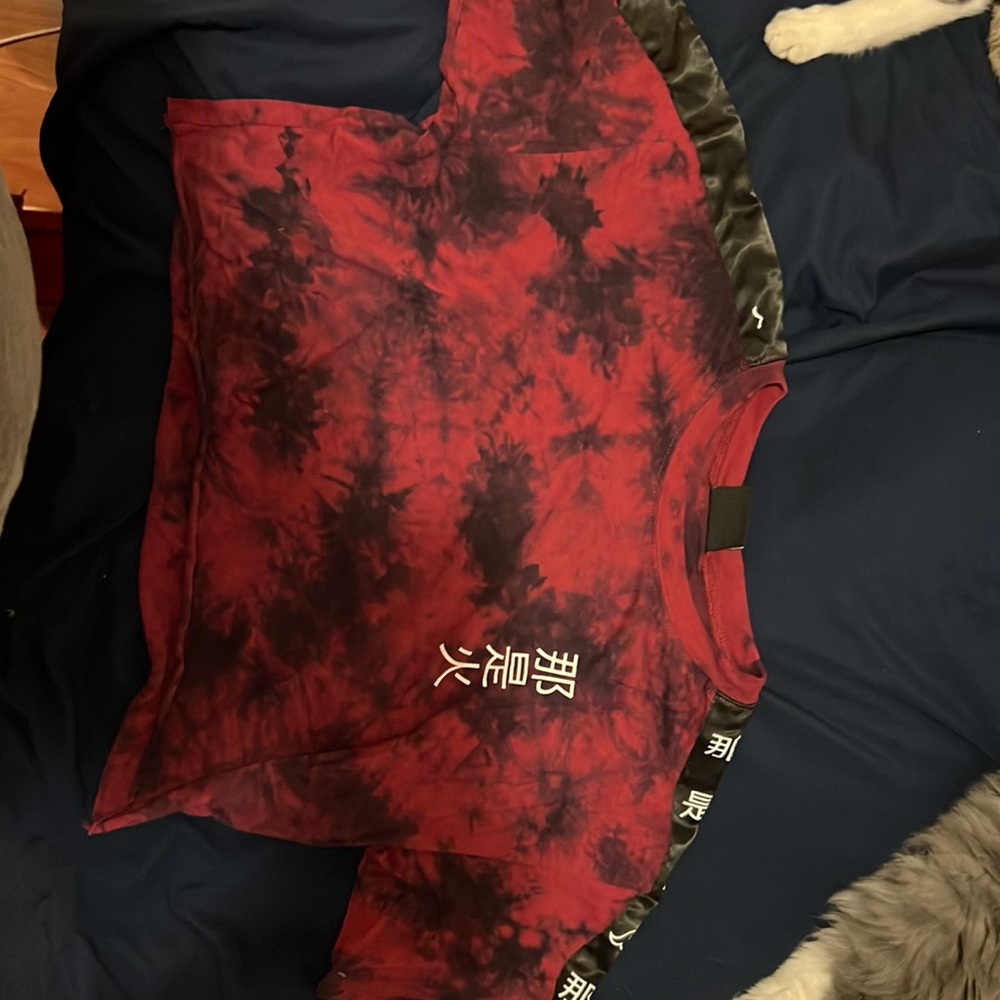Red Dragon Crop Top